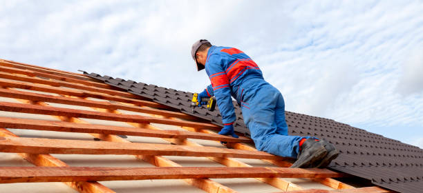 Best Roof Maintenance and Cleaning  in Buckley, WA