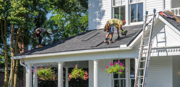 Best Roof Moss and Algae Removal  in Buckley, WA